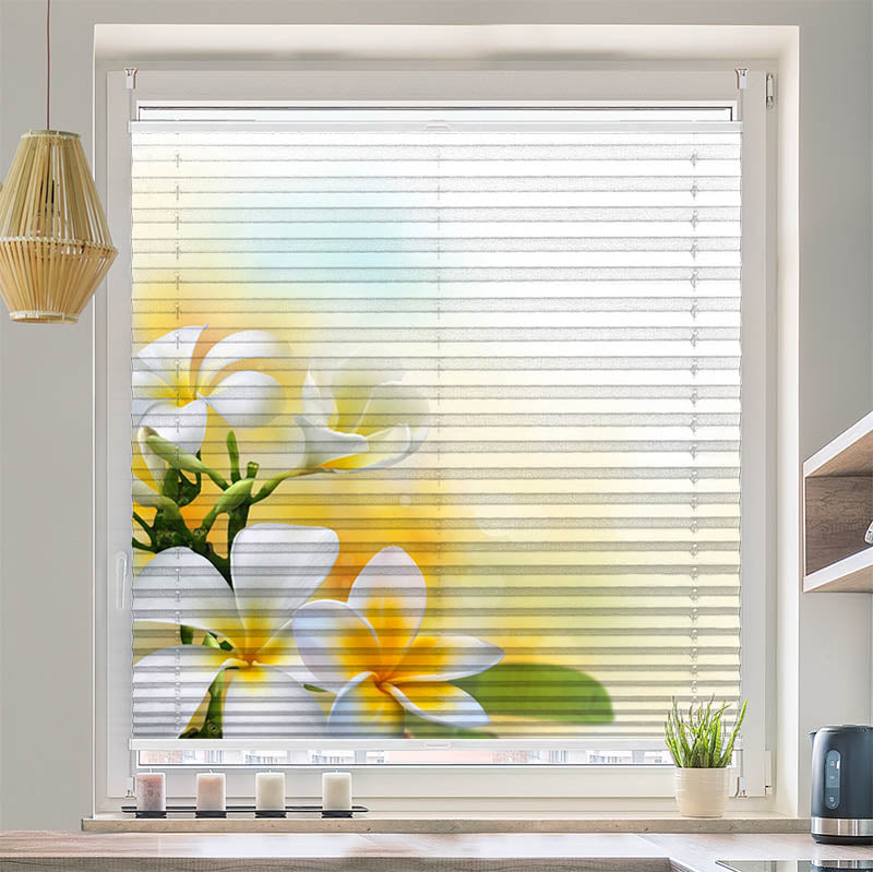 Plissee Motiv Frangipani