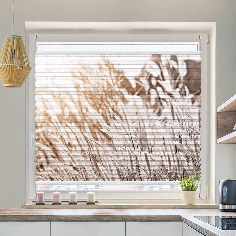 Plissee Motiv Pampas Gras