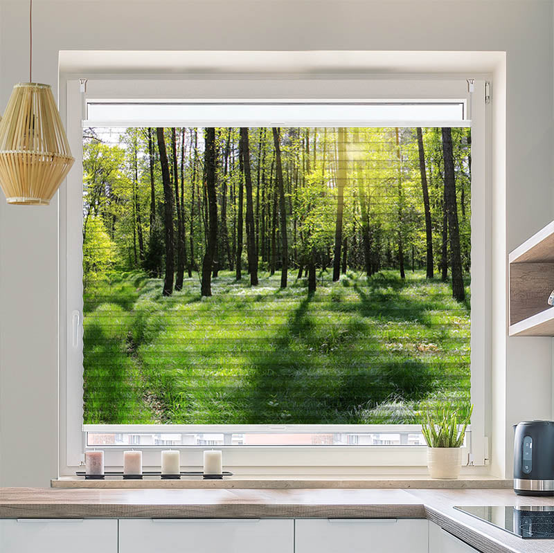 Plissee Motiv "Wald Panorama"