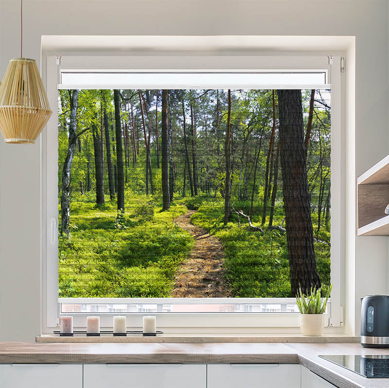 Plissee Motiv "Wald Sonnenstrahlen Panorama"