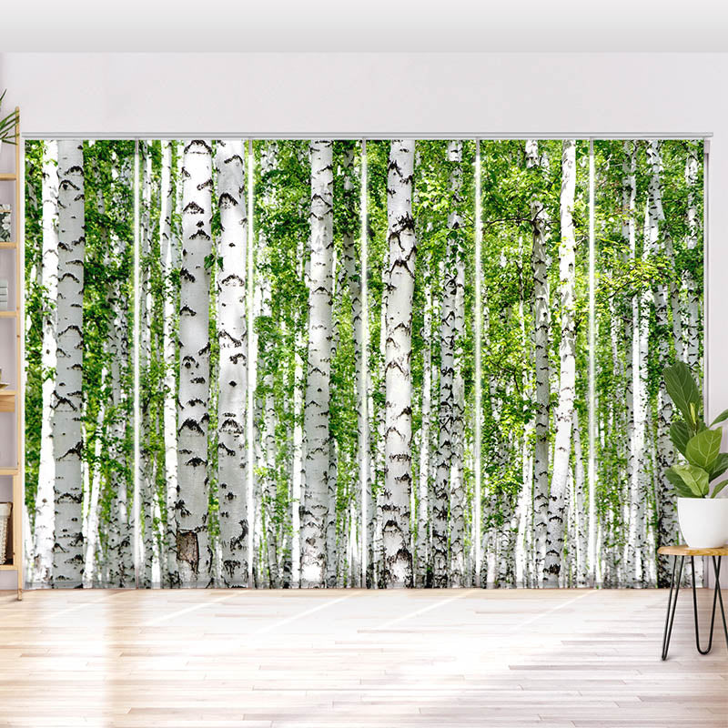 Schiebegardine Motiv Birkenwald