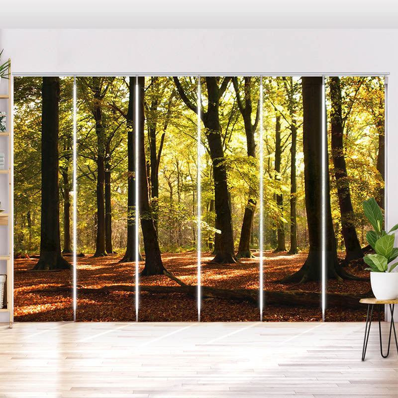 Schiebegardine Motiv Wald Sonnenstrahlen