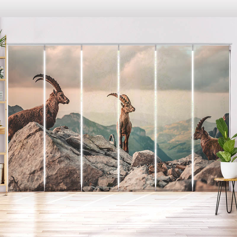 Schiebegardine Motiv Steinboecke in den Schweizer Alpen