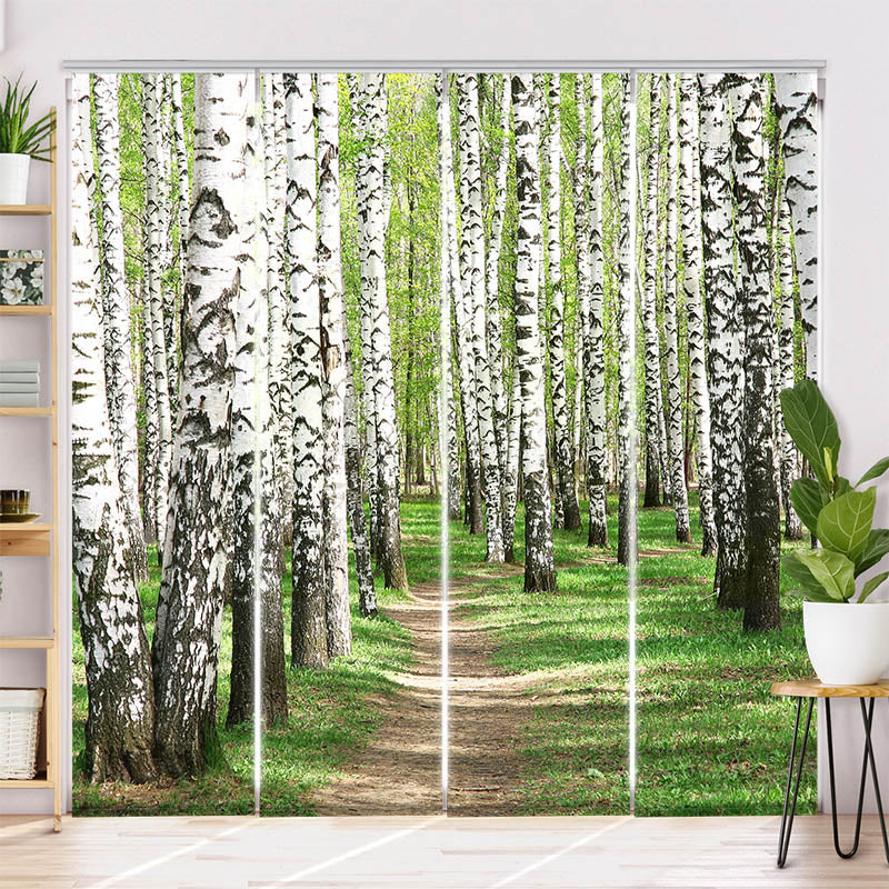 Schiebegardine Motiv Birkenwald Weg