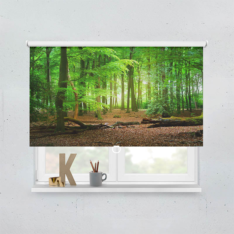 Plissee Motiv Wald mit Eichenlaub