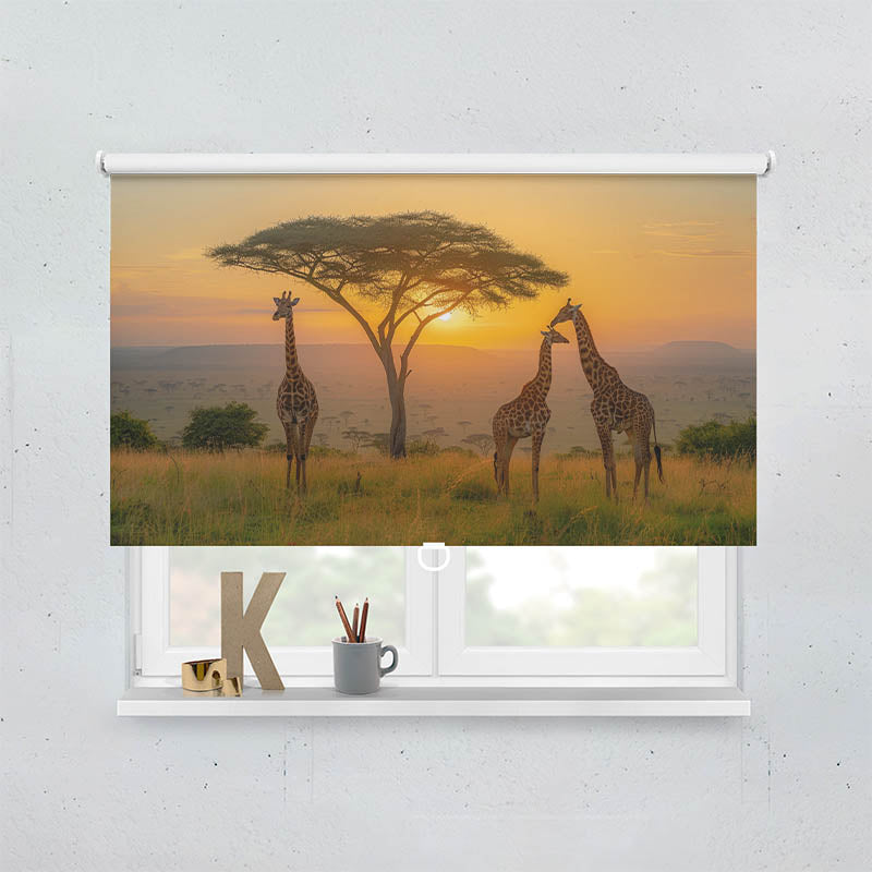 Plissee Motiv Afrika Giraffen Savanne