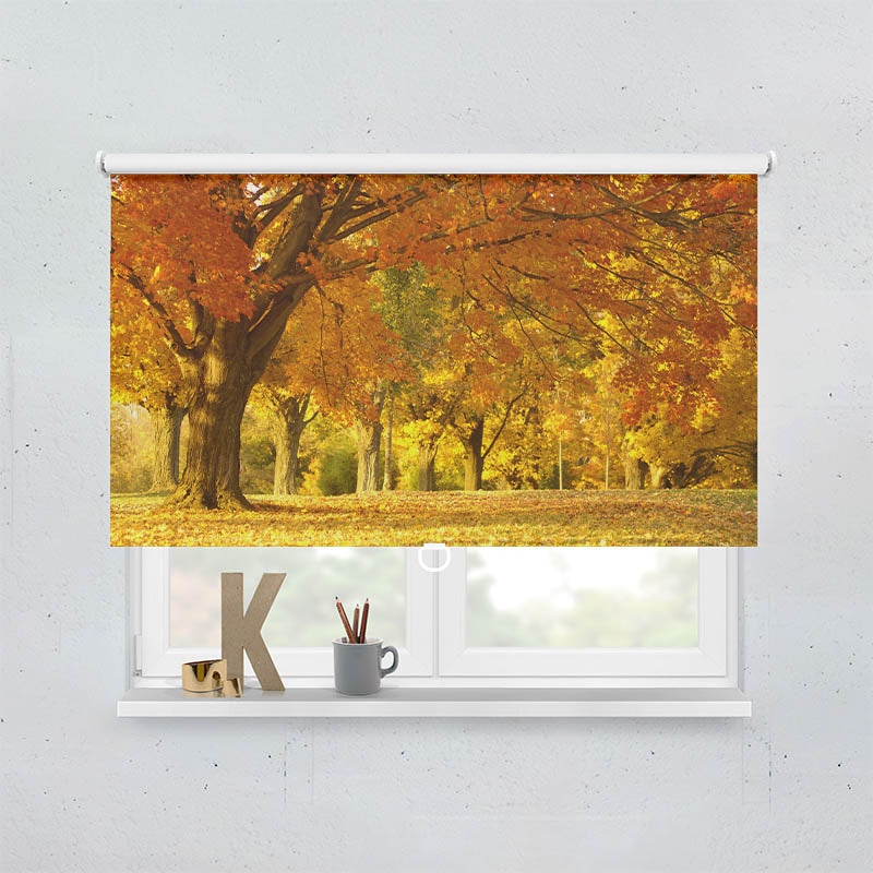 Plissee Motiv Allee im Herbst