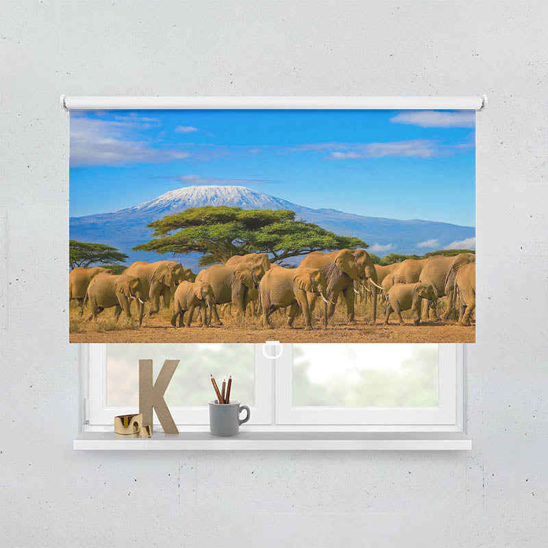 Plissee Motiv Elefanten am Kilimandscharo