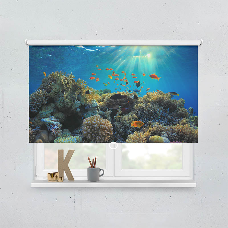 Plissee Motiv Fische im Ozean