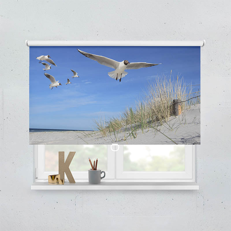 Plissee Motiv Moewen am Strand