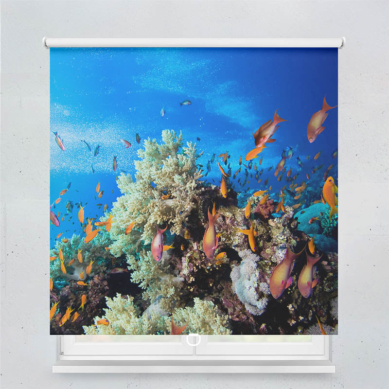 Plissee Motiv Korallen und Fische