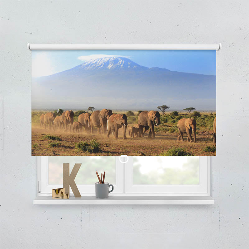 Plissee Motiv Elefanten am Kilimandscharo