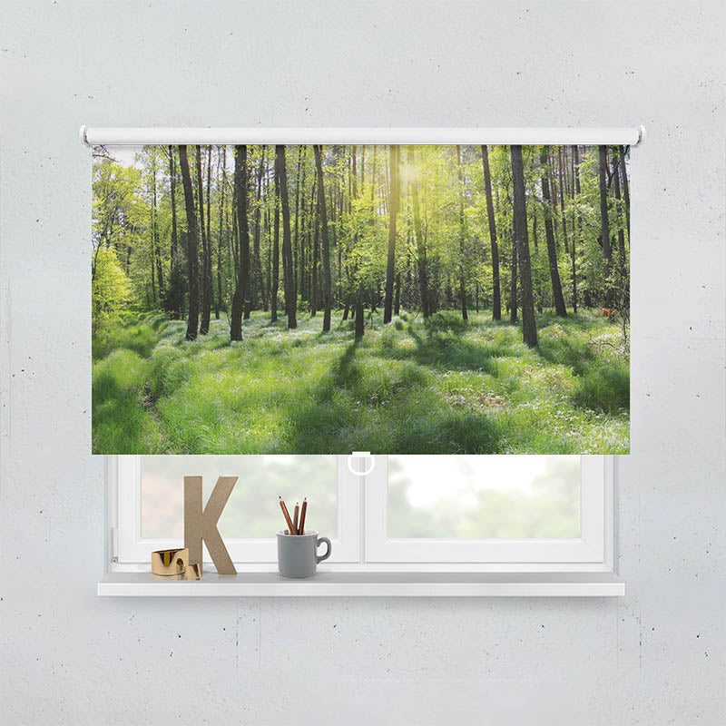 Plissee Motiv Wald Panorama