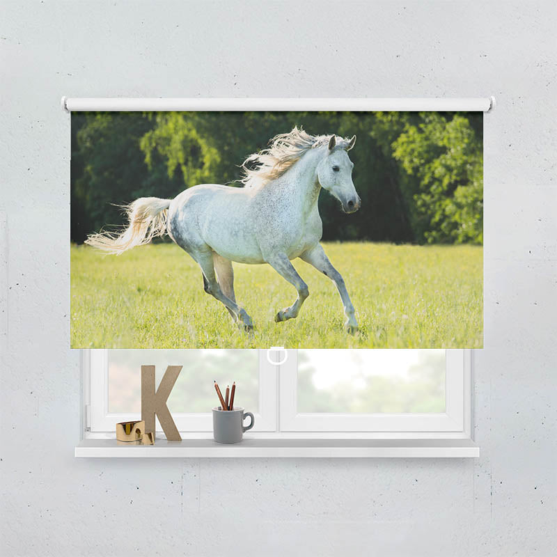 Plissee Motiv Weisses Pferd im Gras