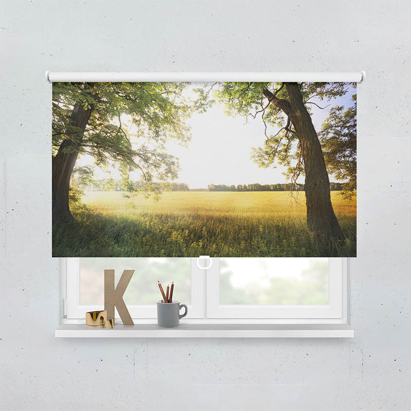 Plissee Motiv Feld mit Sonnenlicht