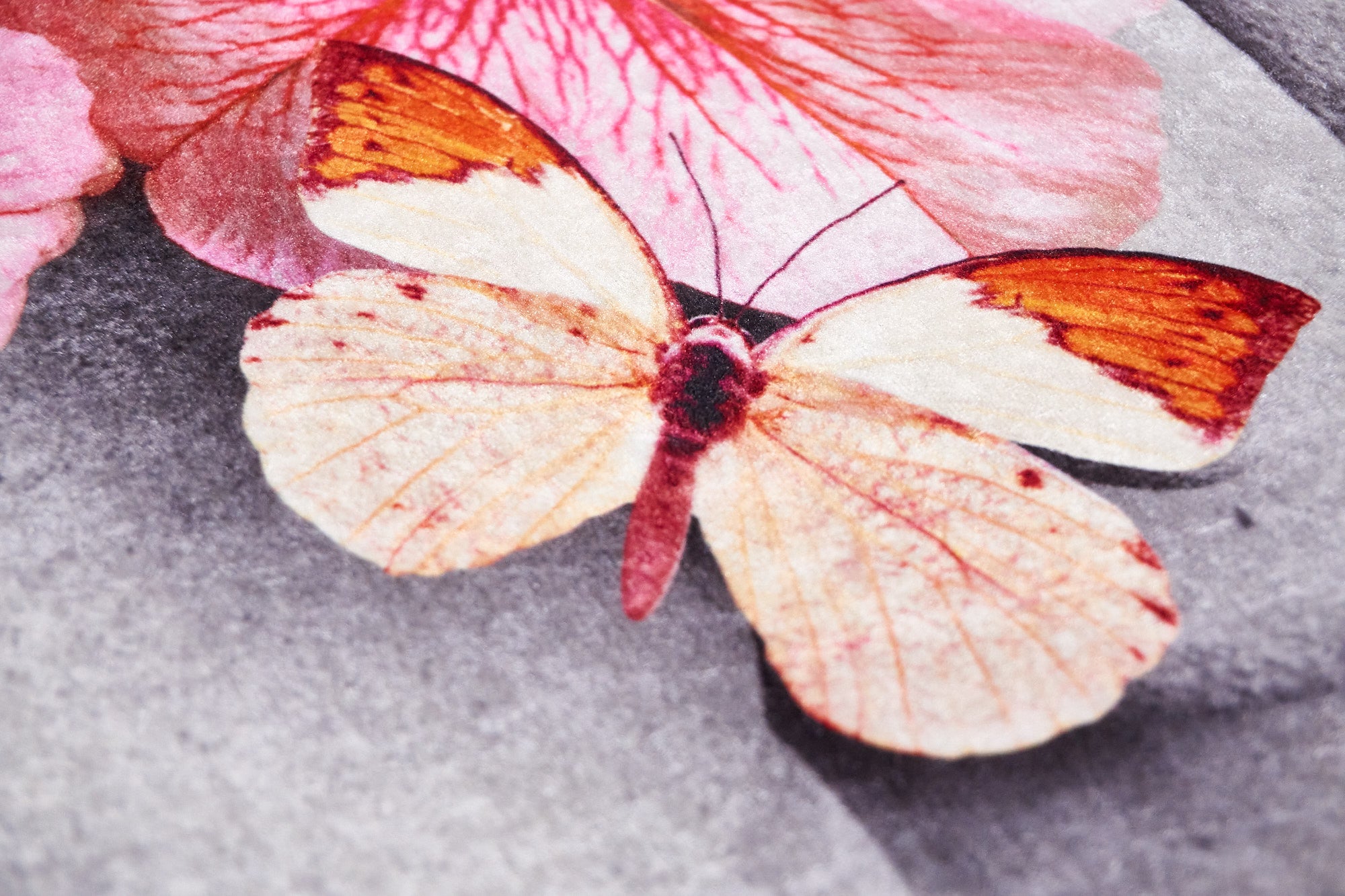 Makroansicht des Foto-Teppichs homeline mit einem Schmetterling als Motiv
