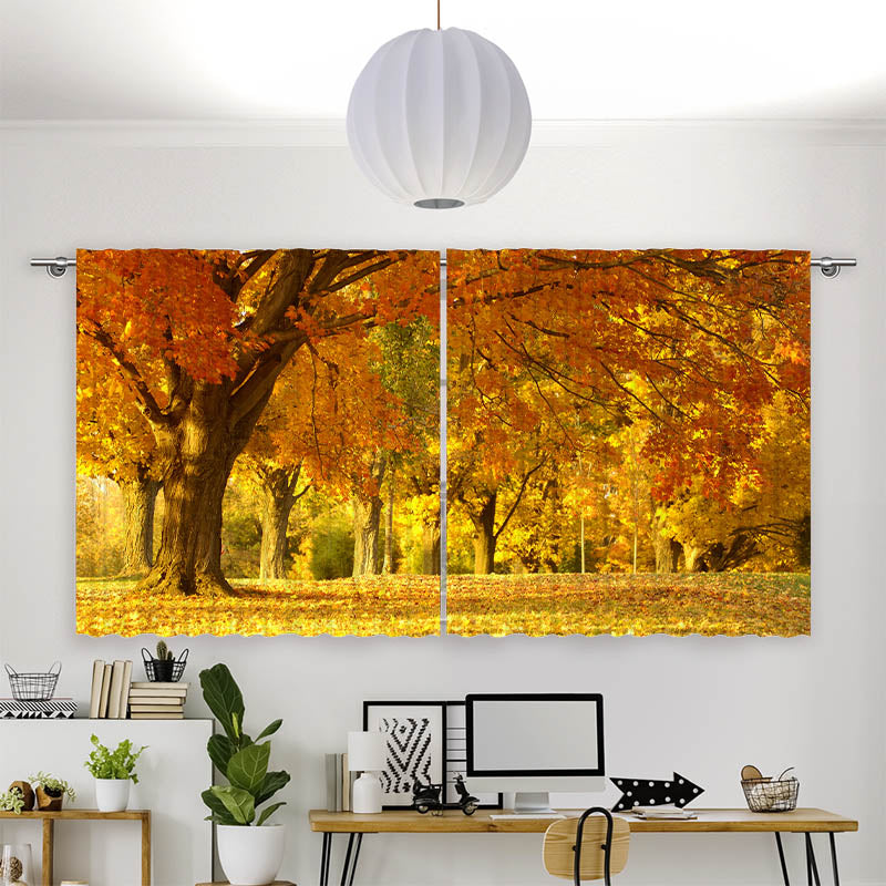 Vorhang Motiv Allee im Herbst