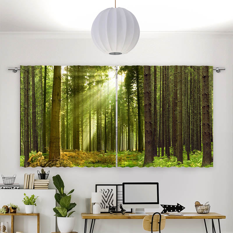Vorhang Motiv "Sonnenstrahlen im Wald Panorama"