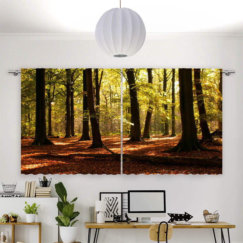 Vorhang Motiv Wald Sonnenstrahlen