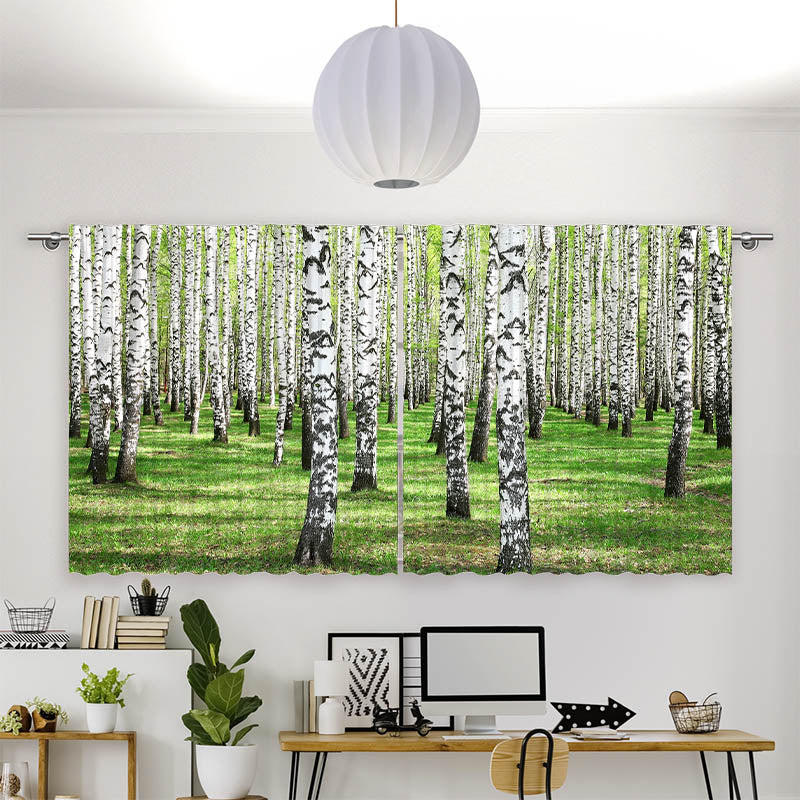 Vorhang Motiv Birkenwald