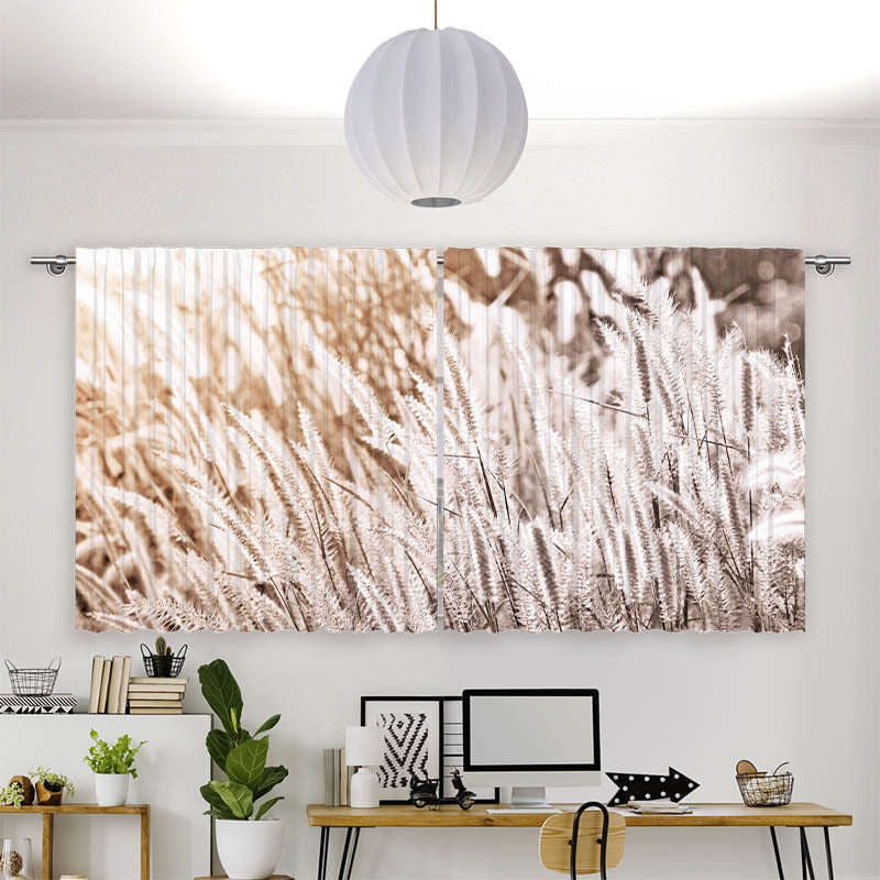 Vorhang Motiv Pampas Gras
