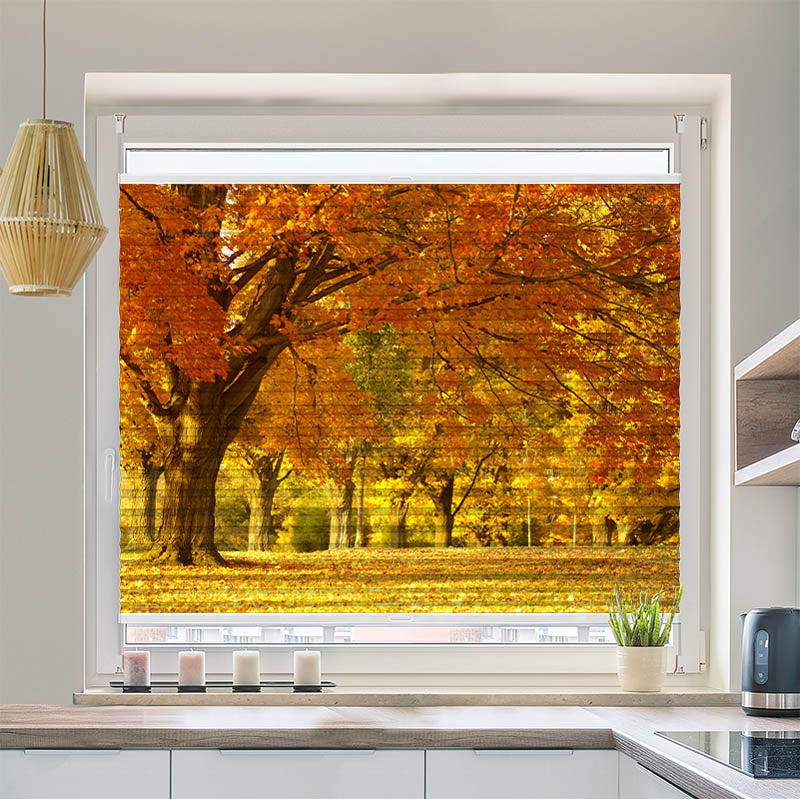 Wabenplissee Motiv Allee im Herbst