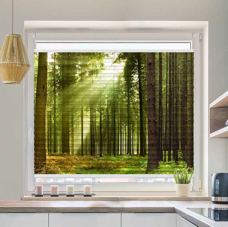 Wabenplissee Motiv "Sonnenstrahlen im Wald Panorama"