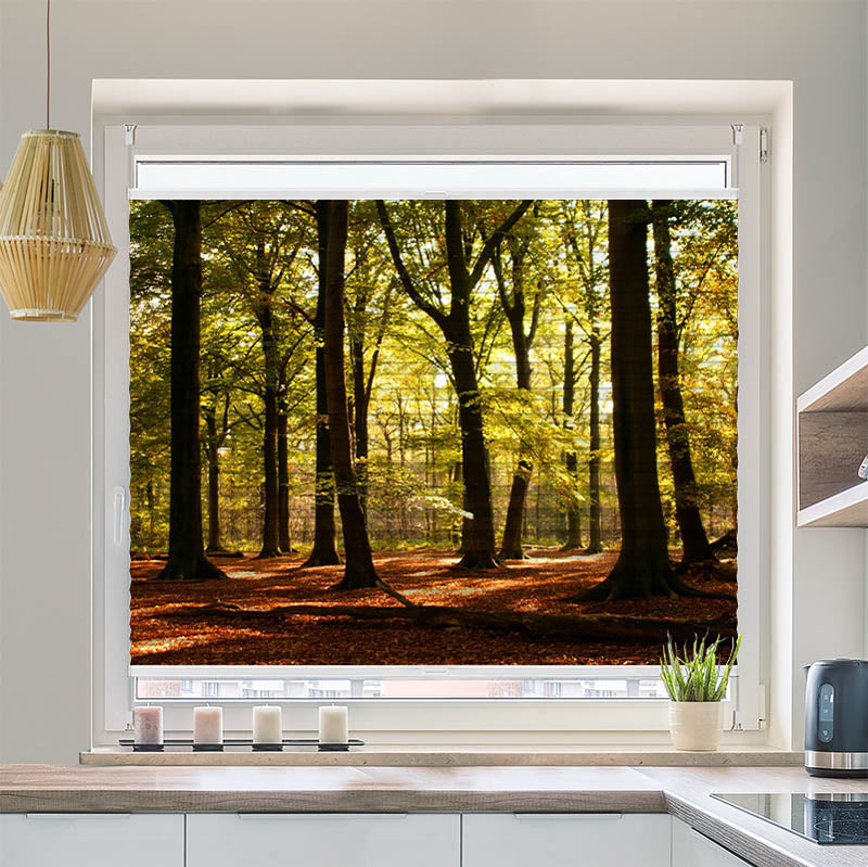 Wabenplissee Motiv Wald Sonnenstrahlen