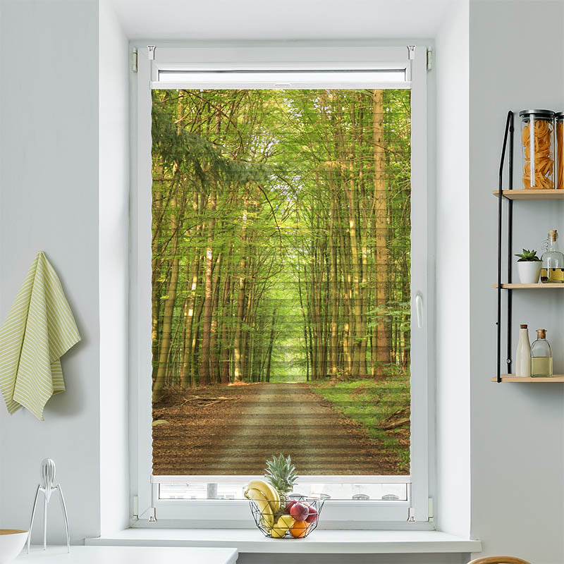 Wabenplissee Motiv "Bambuswald Weg"