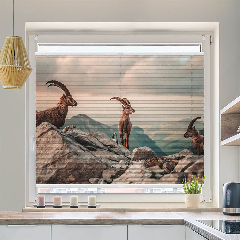 Wabenplissee Motiv Steinboecke in den Schweizer Alpen