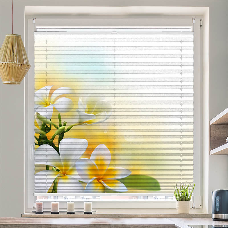 Wabenplissee Motiv Frangipani