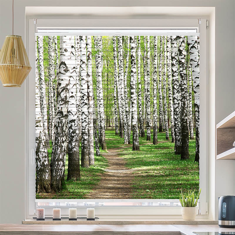 Wabenplissee Motiv Birkenwald Weg