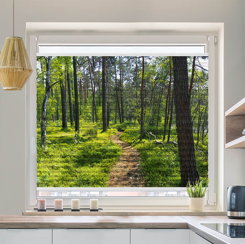 Wabenplissee Motiv "Wald Sonnenstrahlen Panorama"