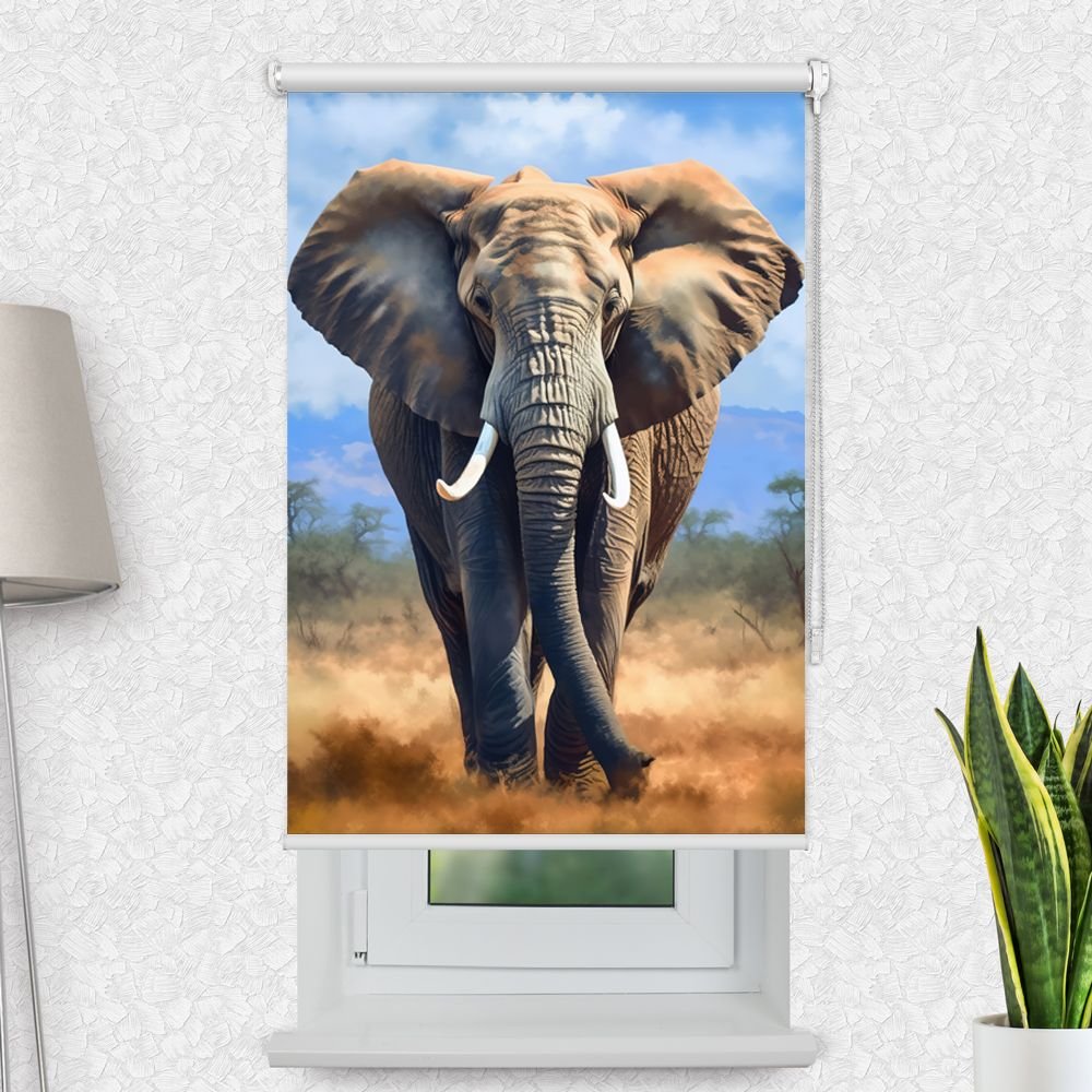 Fotorollo 'Elefant Afrika' - La-Melle