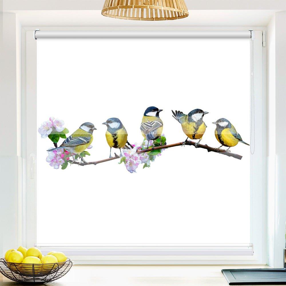 Klemm Doppelrollo "Blaumeisen" - ohne Bohren - Klemmfix - bis 150 cm Breite - Duo Rollo Fotodruck - La-Melle