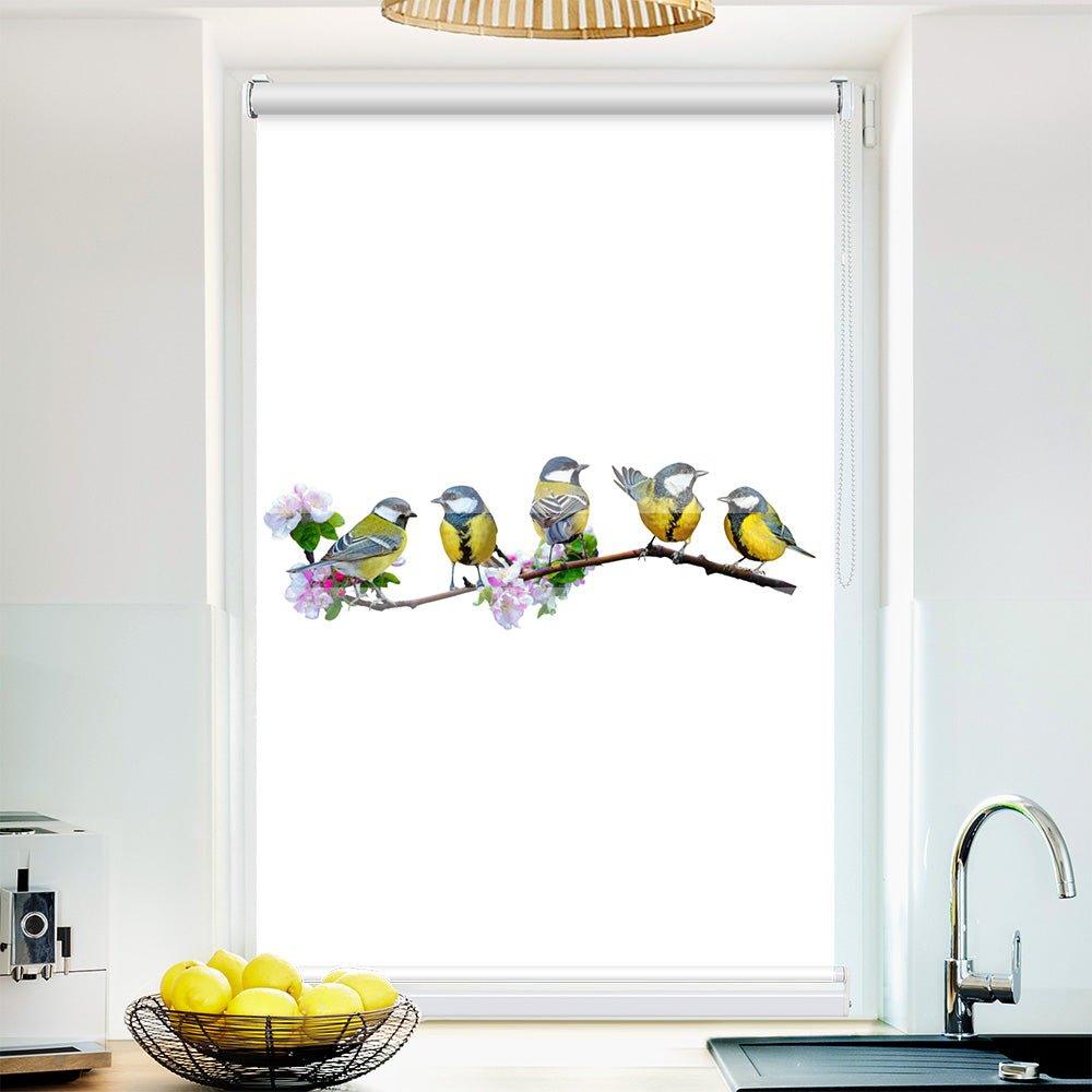 Klemm Doppelrollo "Blaumeisen" - ohne Bohren - Klemmfix - bis 150 cm Breite - Duo Rollo Fotodruck - La-Melle