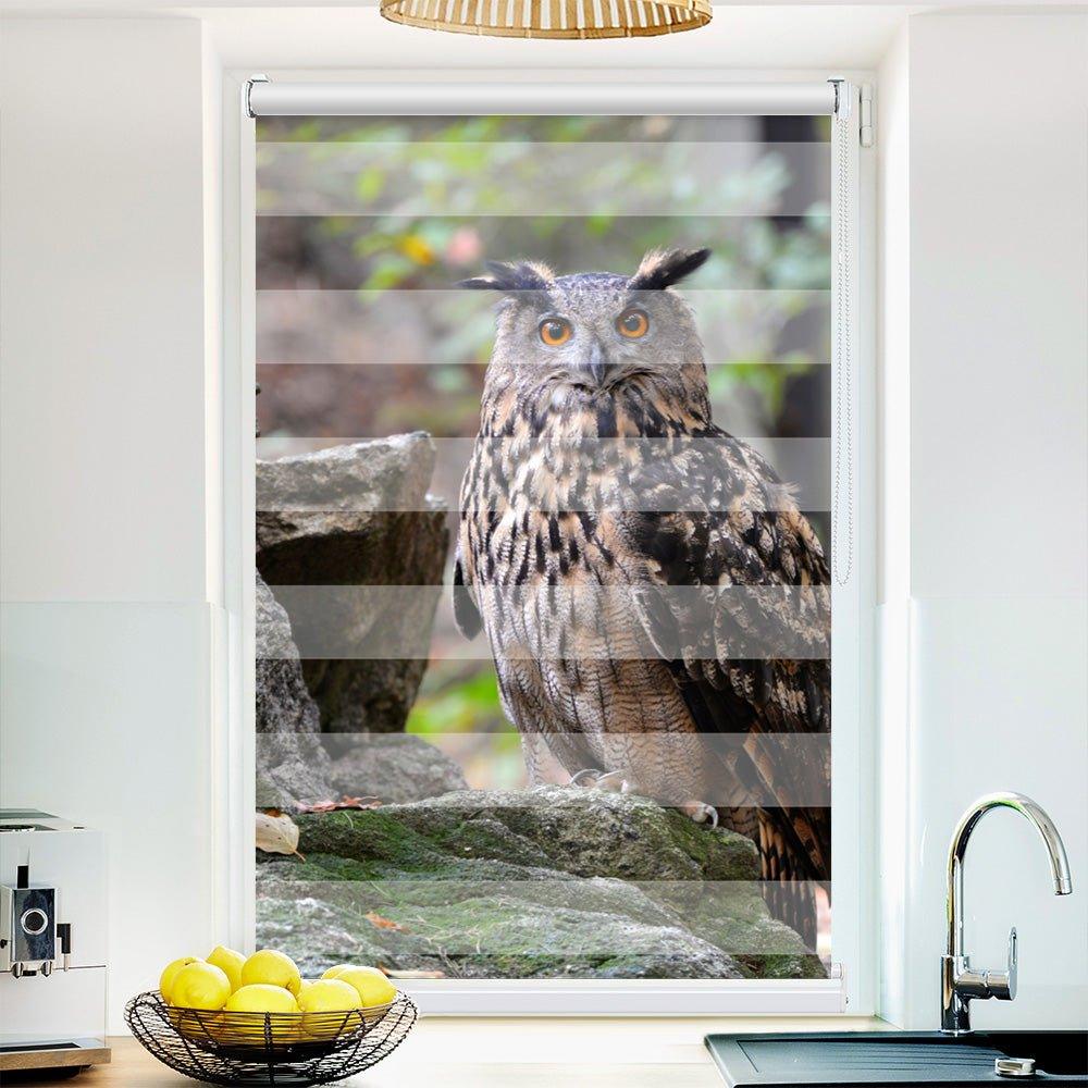 Klemm Doppelrollo "Eule Wald Felsen" - ohne Bohren - Klemmfix - bis 150 cm Breite - Duo Rollo Fotodruck - La-Melle