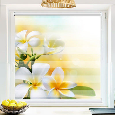 Klemm Doppelrollo Frangipani - ohne Bohren - Klemmfix - bis 150 cm Breite - Duo Rollo Fotodruck - La-Melle