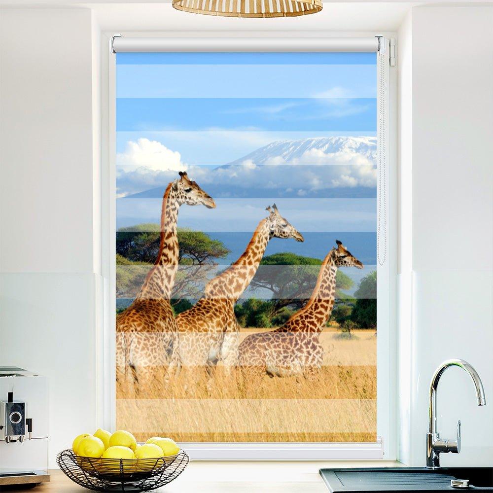 Klemm Doppelrollo "Giraffen Afrika" - ohne Bohren - Klemmfix - bis 150 cm Breite - Duo Rollo Fotodruck - La-Melle