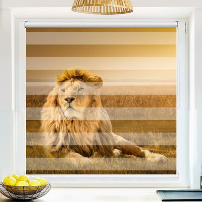 Klemm Doppelrollo Löwe Afrika Savanne - ohne Bohren - Klemmfix - bis 150 cm Breite - Duo Rollo Fotodruck - La-Melle