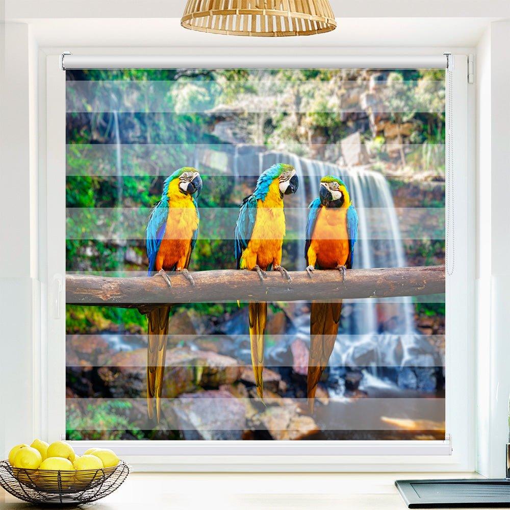 Klemm Doppelrollo "Papageien Urwald" - ohne Bohren - Klemmfix - bis 150 cm Breite - Duo Rollo Fotodruck - La-Melle