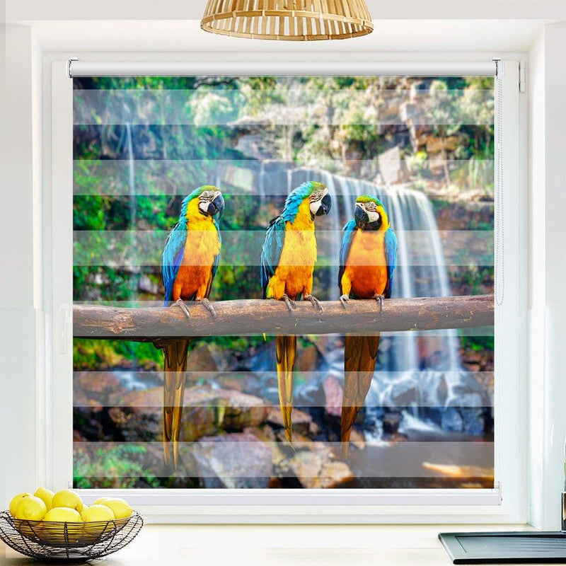 Klemm Doppelrollo "Papageien Urwald" - ohne Bohren - Klemmfix - bis 150 cm Breite - Duo Rollo Fotodruck - La-Melle