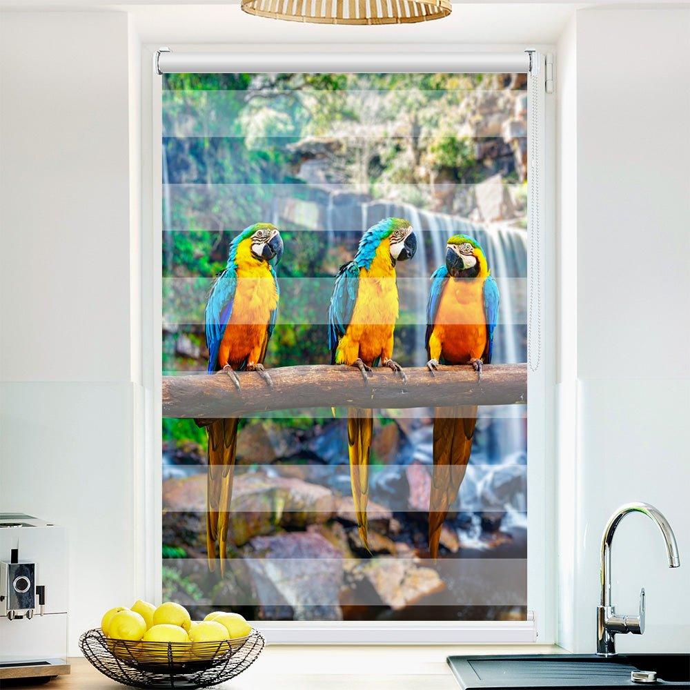Klemm Doppelrollo "Papageien Urwald" - ohne Bohren - Klemmfix - bis 150 cm Breite - Duo Rollo Fotodruck - La-Melle