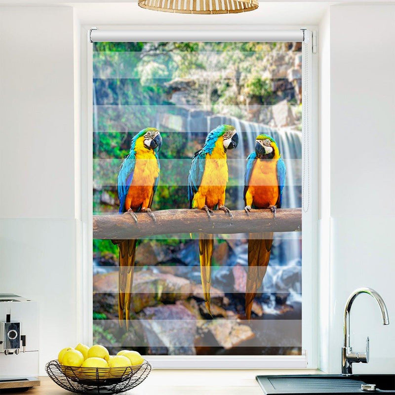 Klemm Doppelrollo "Papageien Urwald" - ohne Bohren - Klemmfix - bis 150 cm Breite - Duo Rollo Fotodruck - La-Melle