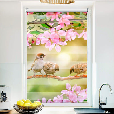 Klemm Doppelrollo Spatzen auf dem Ast - ohne Bohren - Klemmfix - bis 150 cm Breite - Duo Rollo Fotodruck - La-Melle