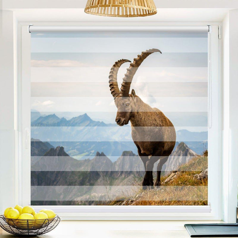 Klemmfix Doppelrollo Motiv "Steinbock Alpen"