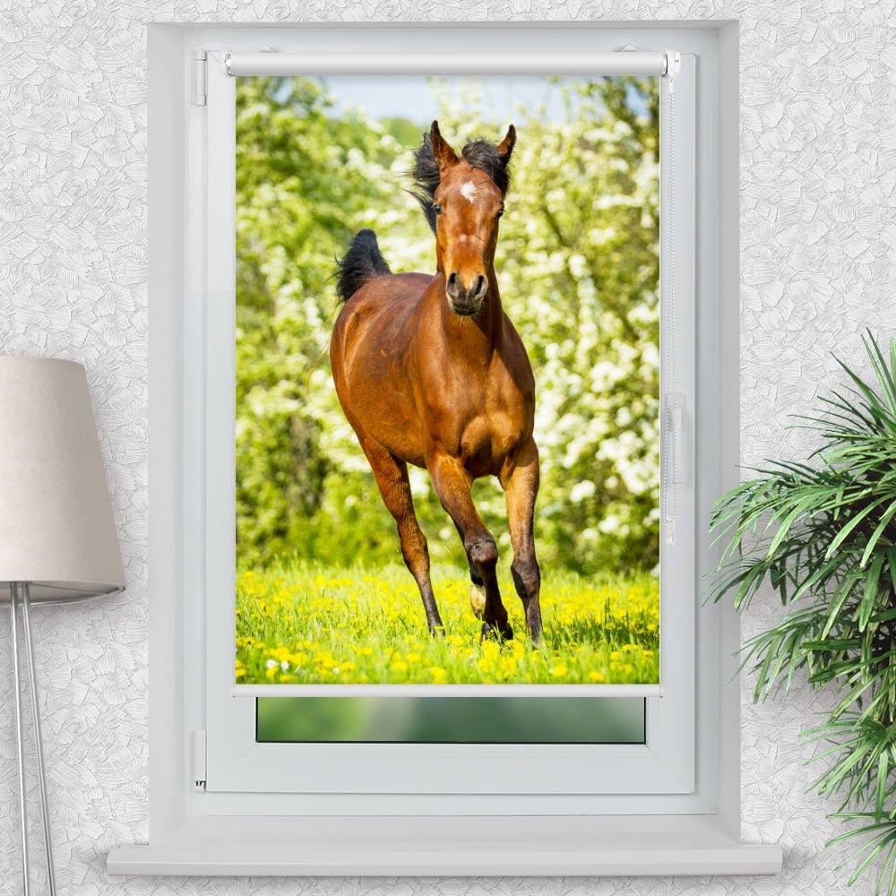Rollo Motiv "Araber Fohlen" - ohne bohren - Klemmrollo bis 150 cm Breite - Klemmfix mit Fotodruck - blickdicht - La-Melle