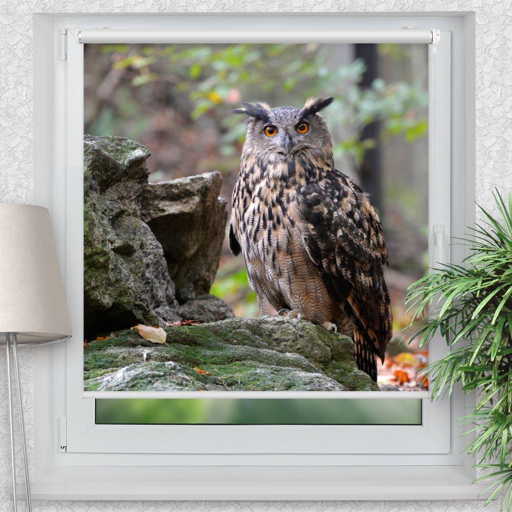 Rollo Motiv "Eule Wald Felsen" - ohne bohren - Klemmrollo bis 150 cm Breite - Klemmfix mit Fotodruck - blickdicht - La-Melle
