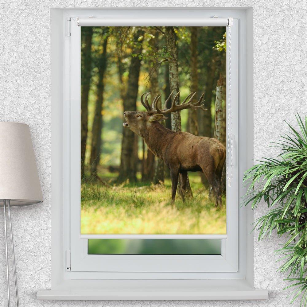 Rollo Motiv "Hirsch Wald" - ohne bohren - Klemmrollo bis 150 cm Breite - Klemmfix mit Fotodruck - blickdicht - La-Melle