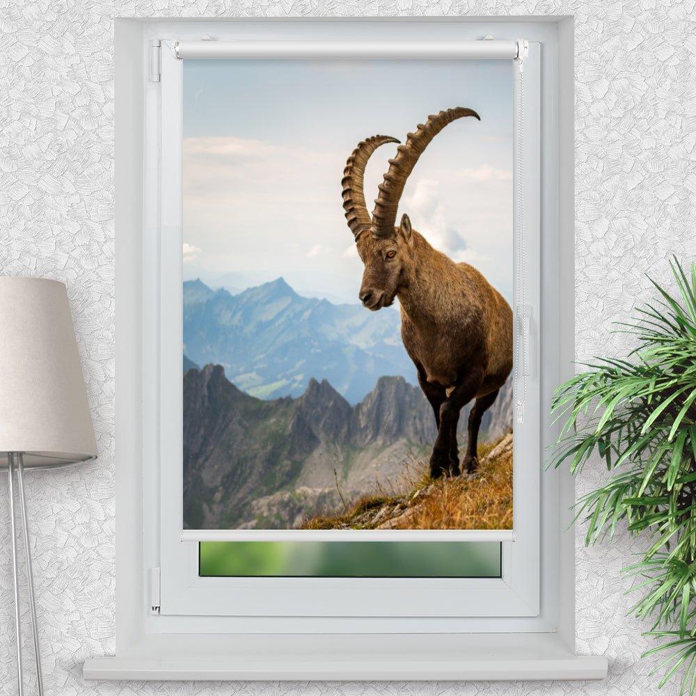 Rollo Motiv "Steinbock Alpen" - ohne bohren - Klemmrollo bis 150 cm Breite - Klemmfix mit Fotodruck - blickdicht - La-Melle